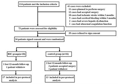 Daily Remote Ischemic Conditioning Can Improve Cerebral Perfusion and Slow Arterial Progression of Adult Moyamoya Disease—A Randomized Controlled Study